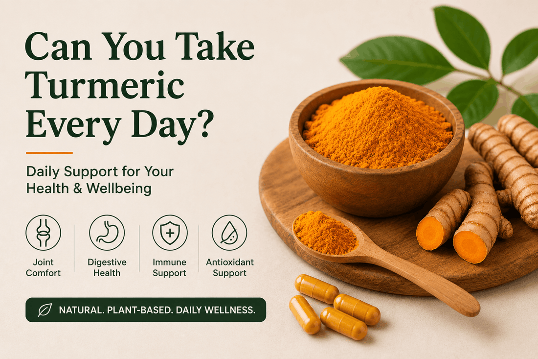 Can You Take Turmeric Every Day